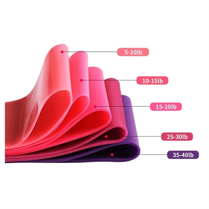 Elastic Loop Band